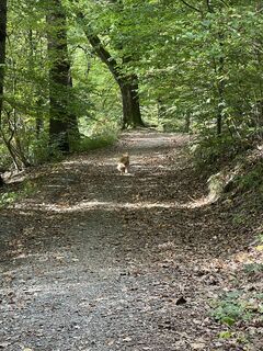Photo de Sacha le long du parcours