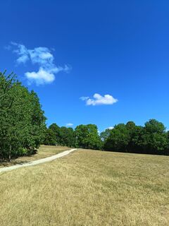 Foto von Julika Jármer entlang der Tour