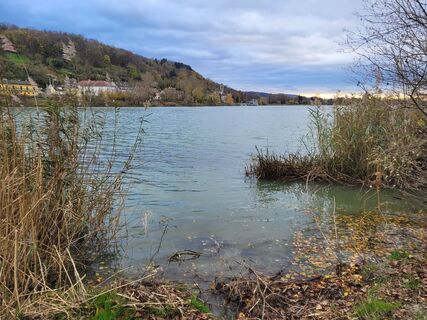 Foto von mmecki entlang der Tour