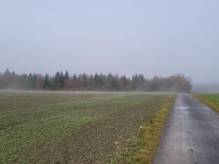 Foto von George50 entlang der Tour