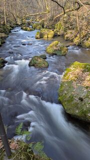 Zdjęcie z hochlandfamilie wzdłuż trasy