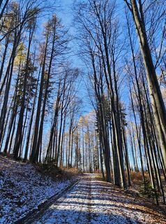 Fotografie z Birgit Poettler na trase