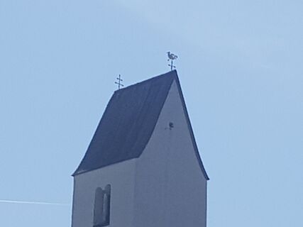 Fotografie z Simon Brummer na trase