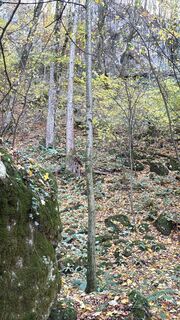 Foto de Miklós György Muth a lo largo del recorrido