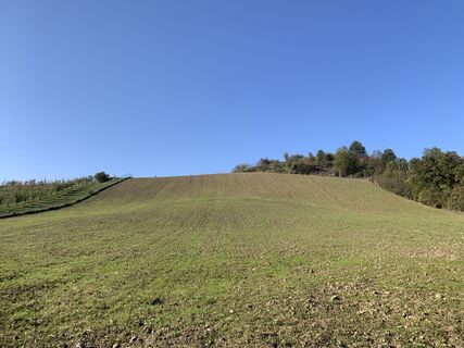 Foto da Andrea Morotti lungo il tour