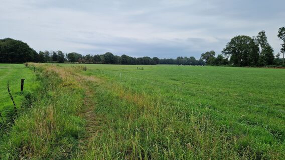 Foto de Gerrit van der Linde a lo largo del recorrido