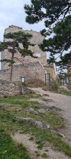 Fotografia z Tanjasusanna na trase