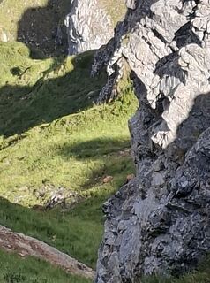 Foto von Pia entlang der Tour