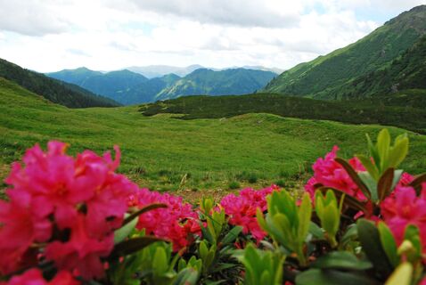 Tubaysee, Regenkarspitz, Hochschwung und Schattnerzinken