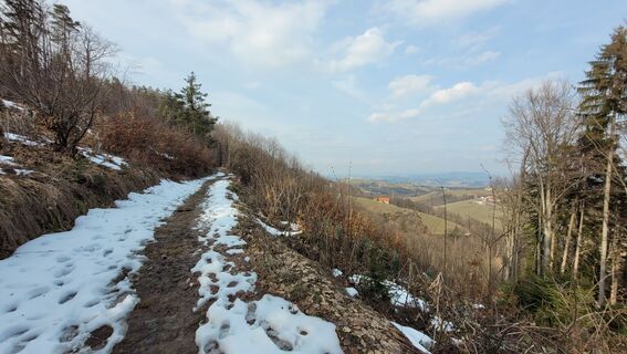 Photo de Juliane Jarke le long du parcours