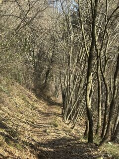 Photo de Agnese Martinelli le long du parcours