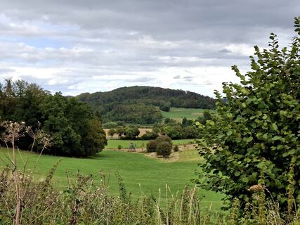 Balve-Langenholthausen, entlang Bergbauwanderweg