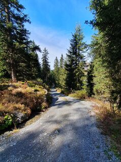 Foto fra Christian Stieber undervejs på turen
