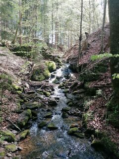 Fotografie z Dagmar Hofer na trase