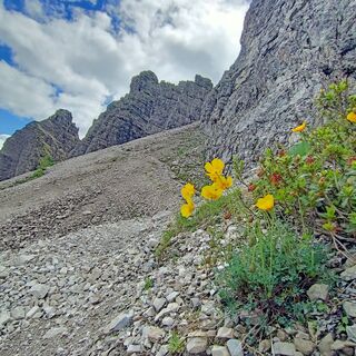 Über die Schuttfelder zum Sattel