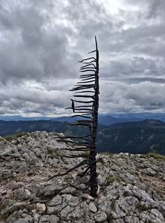 Foto från Eurelia under resans gång