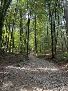 Photo de Peti Moró le long du parcours