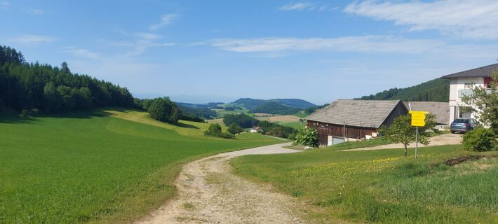 Fotografia z Klaus Gruber 3 na trase