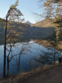 Photo de Brigitte Rottmann le long du parcours