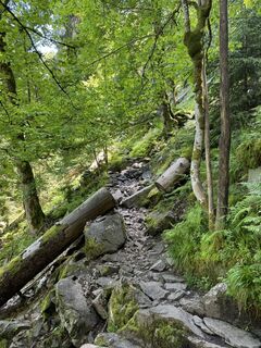 Photo de KmNrmn Sttz le long du parcours
