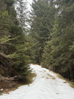Fotografija s spletne strani Meszaros Marianna na poti