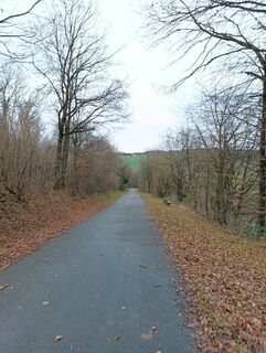 Photo de Dario Mansi le long du parcours