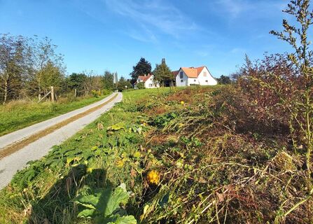 Marienhof bei Gleisdorf in der Oststeiermark