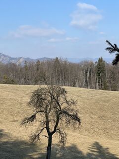 Foto von Manfred Plattner 1 entlang der Tour