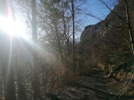 Fotografie z luyyy na trase