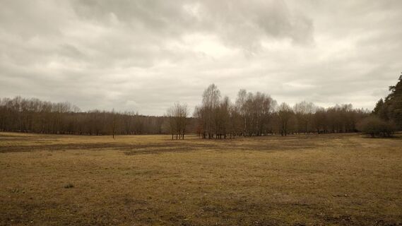 Fotografie z Noreen Harz na trase