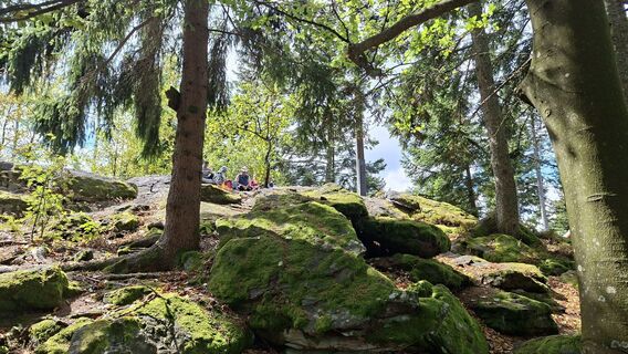 Photo de Fuchs Irene le long du parcours