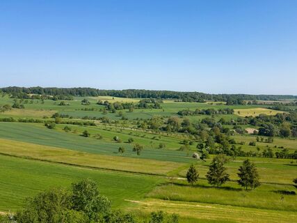 Streuobstwiesen bei Medelsheim