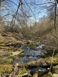 Foto von Sven Pausch 24 entlang der Tour