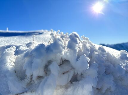 Zdjęcie z Natur_erleben_dg wzdłuż trasy