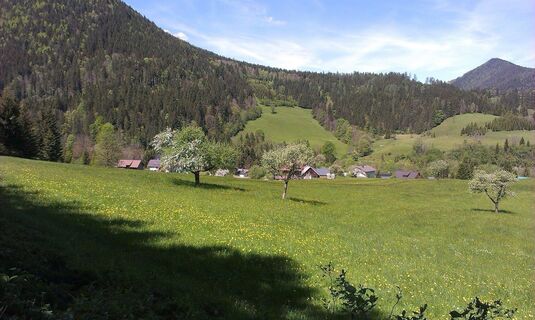 Blick Richtung Rasing