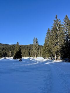 Fotografija s spletne strani Aurelian Böhler na poti