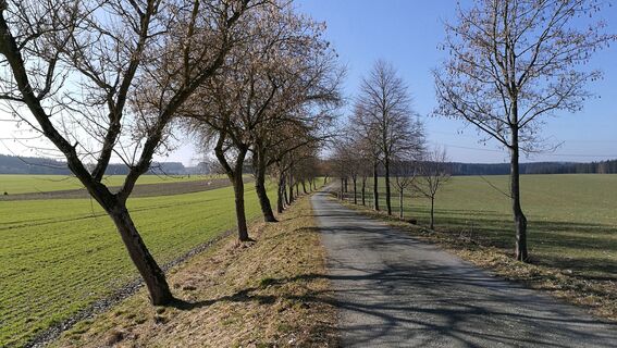 Remptendorf - Ruhteich - Friesauer Hügel