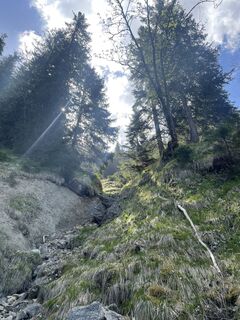 Foto von Martin entlang der Tour