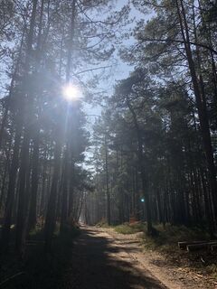 Zdjęcie z Ruth Gurk wzdłuż trasy