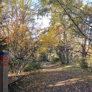 Santojen-Runde / Kaiserrunde