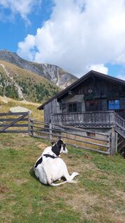 Foto von Stefan TAFERNER entlang der Tour