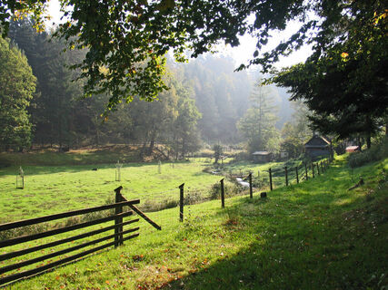 Idyllisches Holzbachtal