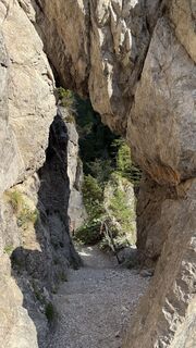 Photo de Phil le long du parcours