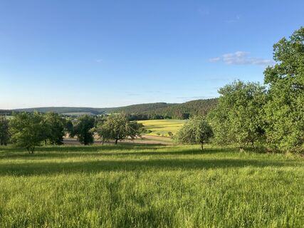 Foto von Steffen Weibrecht entlang der Tour