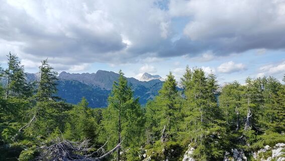 Foto de Stašo Turk a lo largo del recorrido