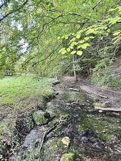 Fotografie z Kirill Golovin na trase