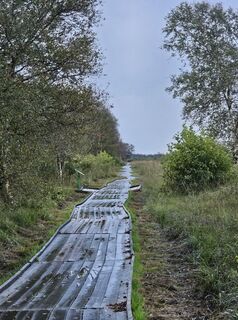Foto von Angelika Gerung entlang der Tour