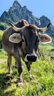 Foto von Klaus Lehner entlang der Tour