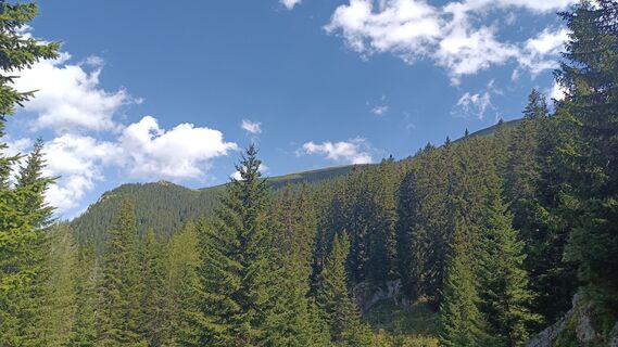 Zdjęcie z Bergpirat wzdłuż trasy