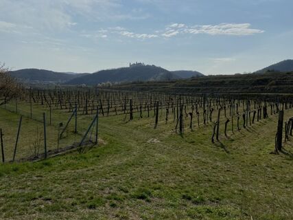 Fotografia z Attila Mihalcz na trase